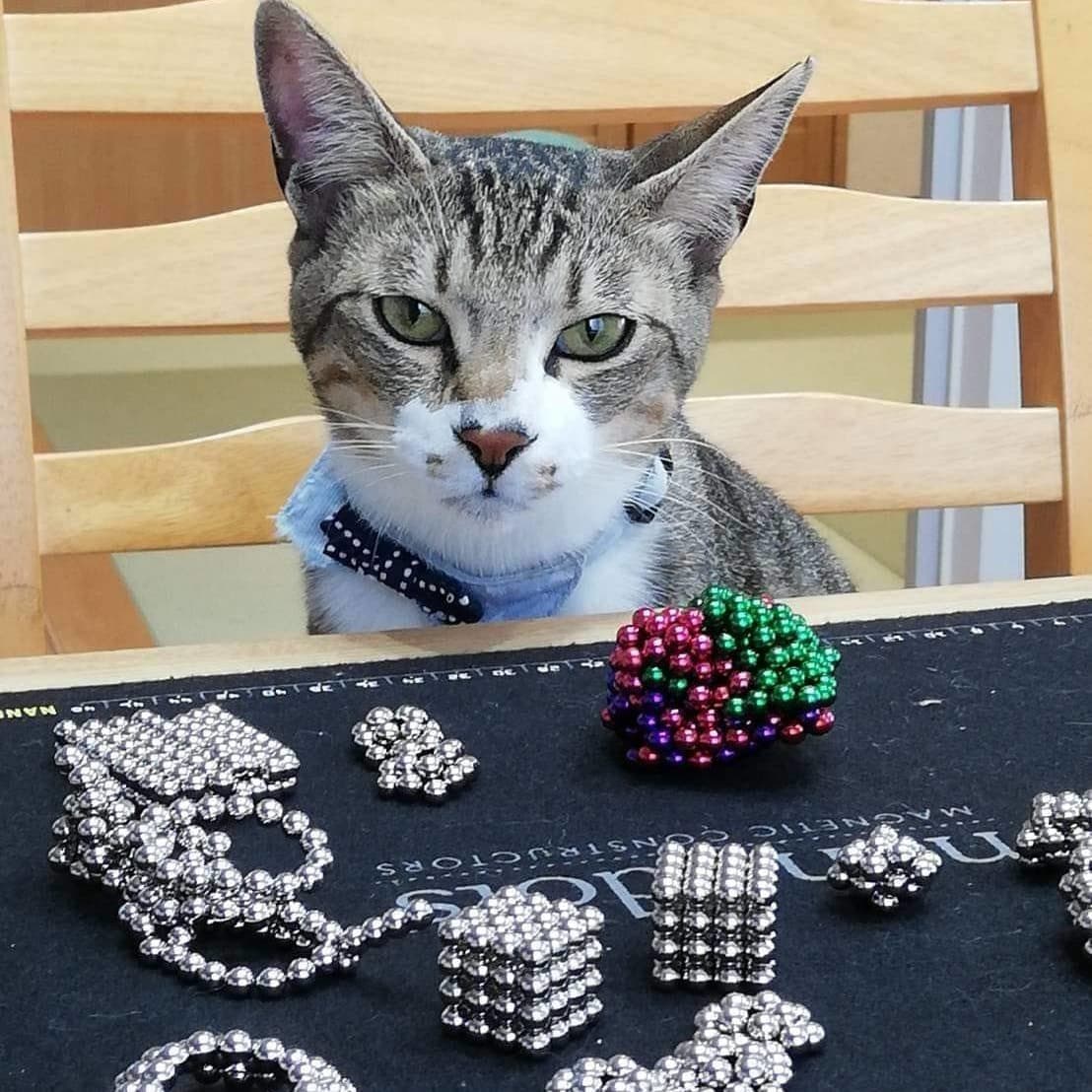 やまさきますみ